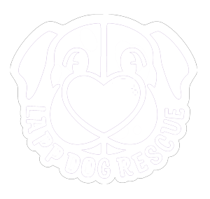 LAPP Dog Rescue